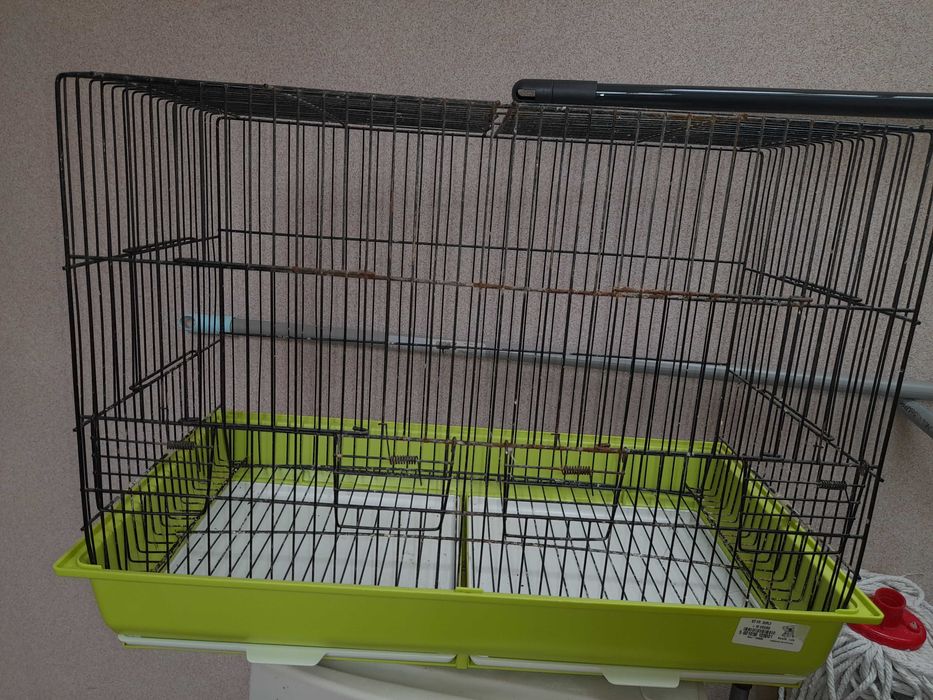 Gaiolas para pássaros