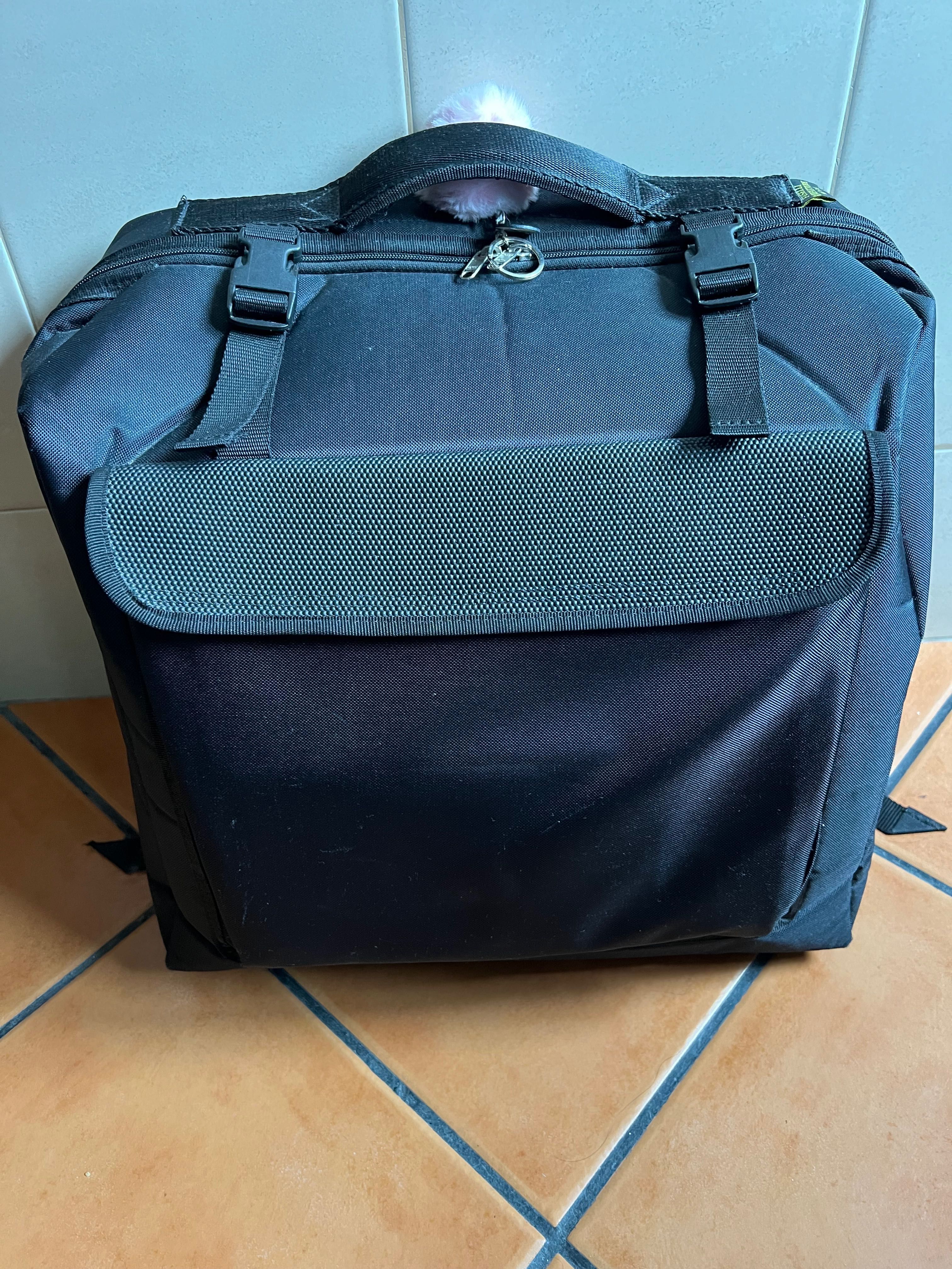 Vendo Acordeão marca Farfisa Scandalli