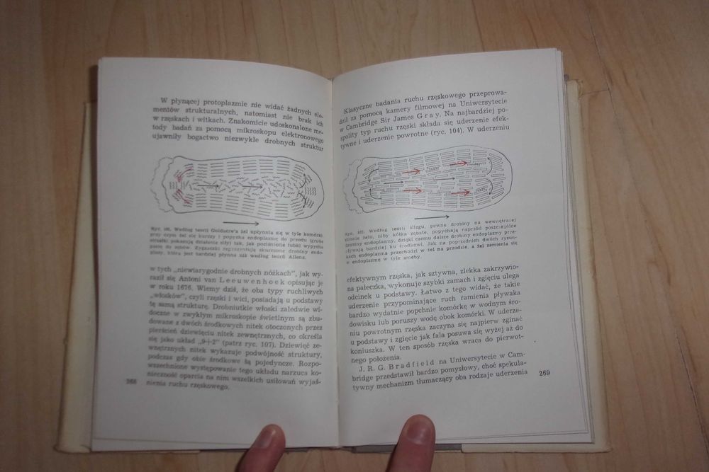 świat żywych komórek