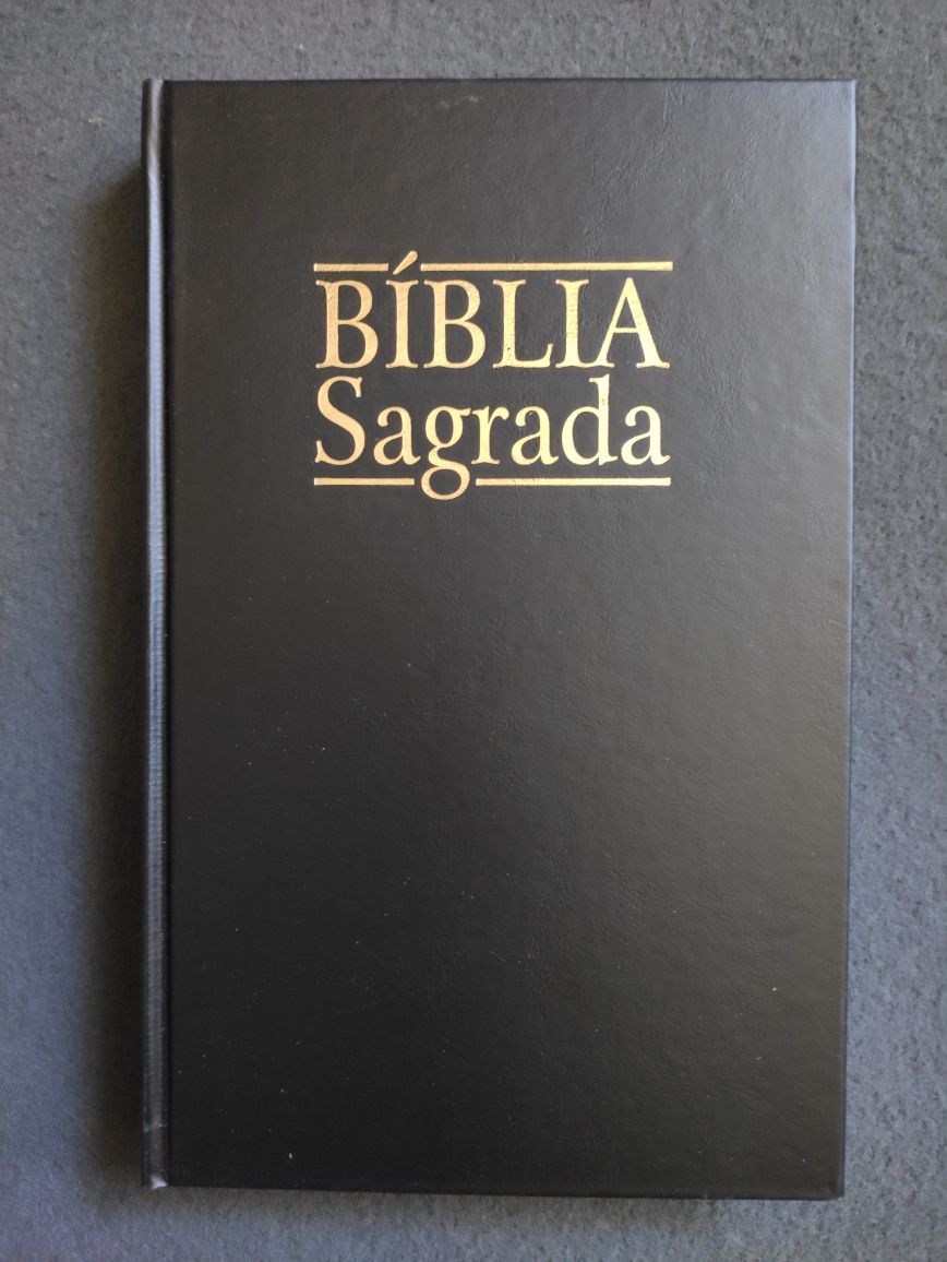Livros religiosos: bíblias, novo testamento, missa paroquial
