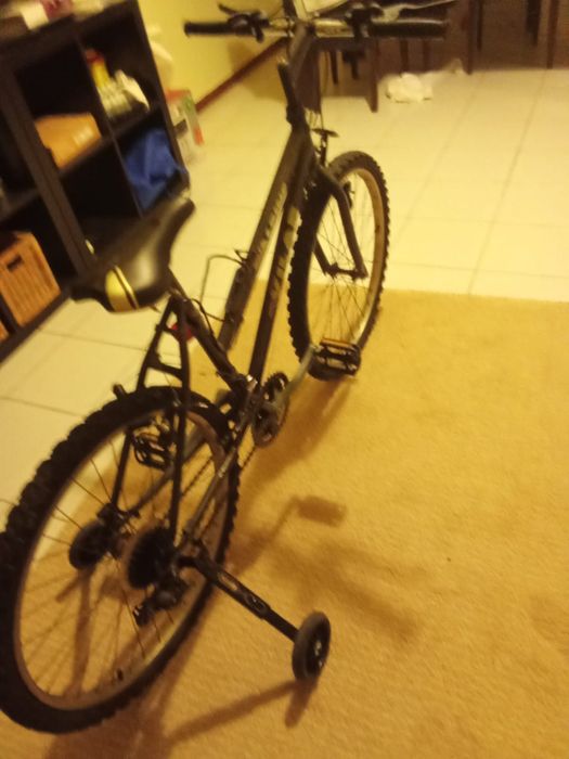Bicicleta montanha roda 24