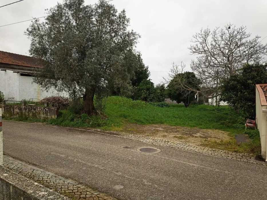 Terreno em Condeixa