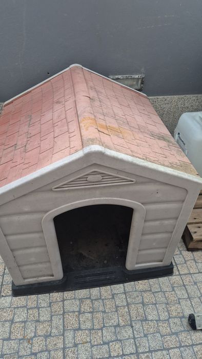 Casota para cão em bom estado
