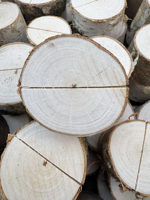 Stojaki podstawki na winietki weselne brzozowe srednica 2-3 cm