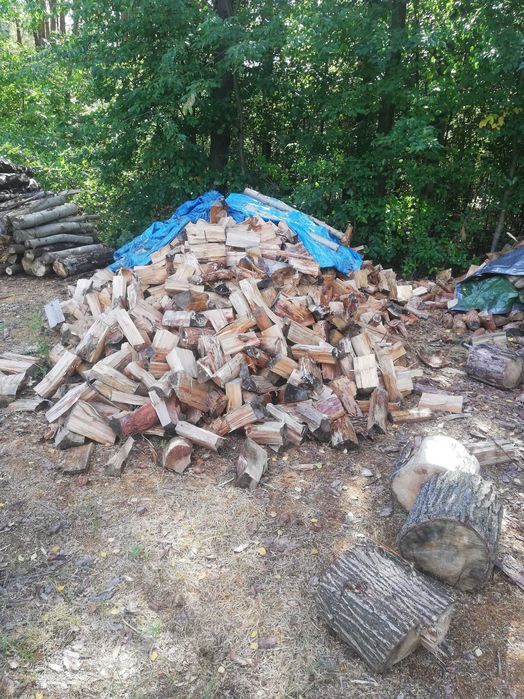 Drzewo drewno opałowe sosna 250zł kominkowe dąb akacja  brzoza
