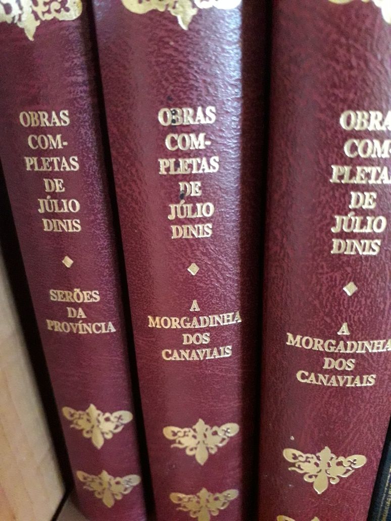 Coleções  de Júlio Dinis e Miguel Cervantes