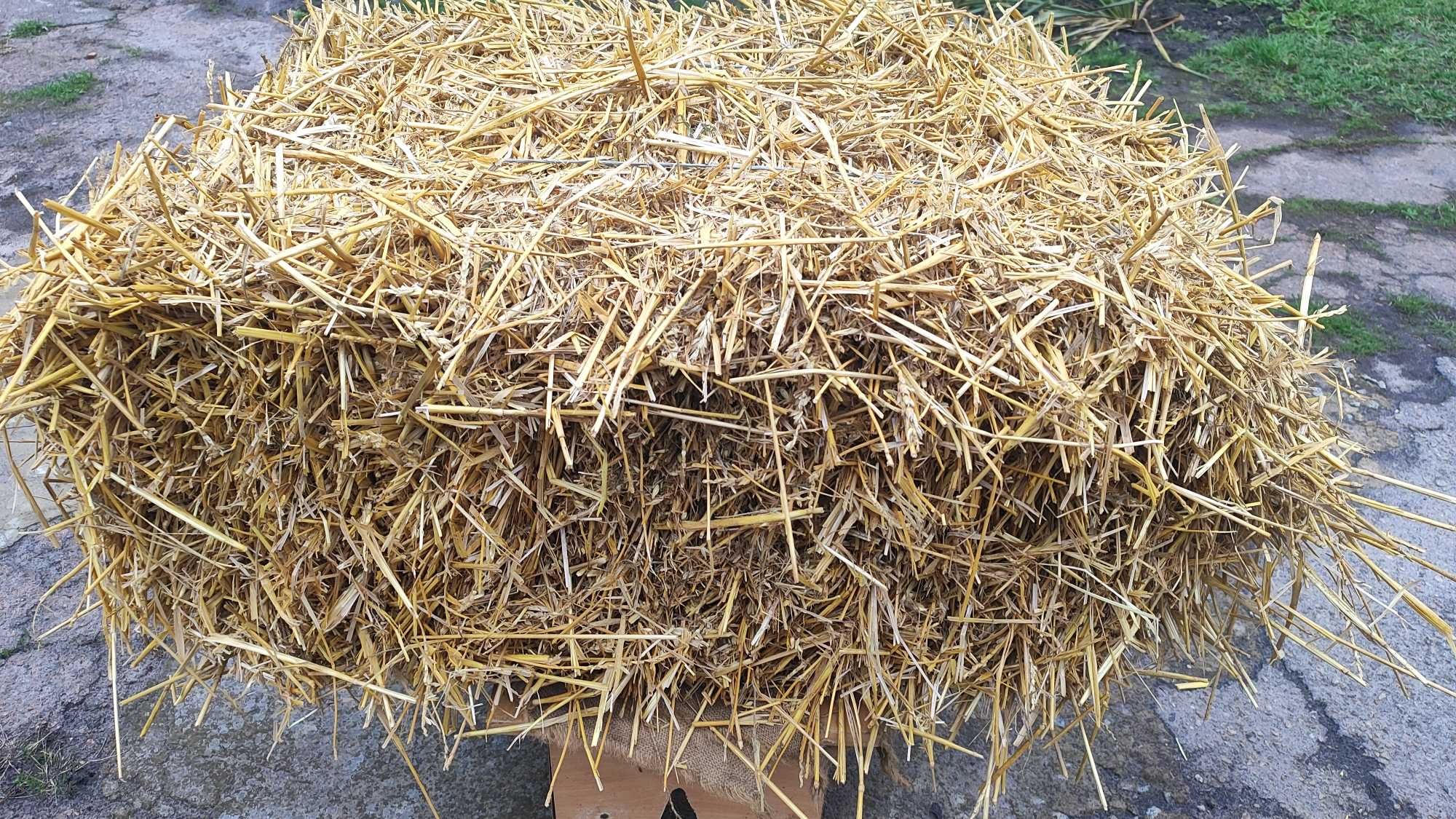 Продається солома в тюках