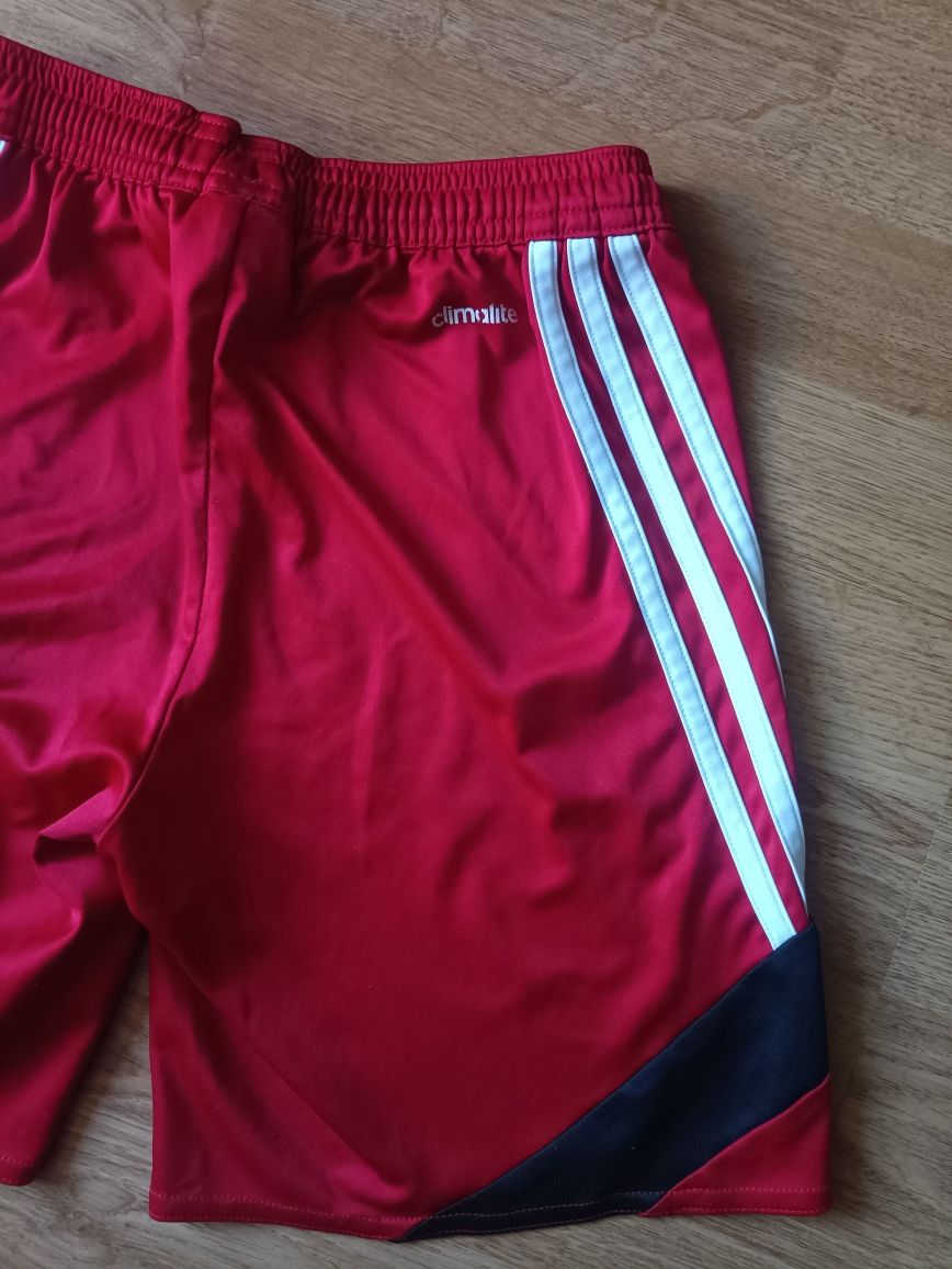 Spodenki  Adidas