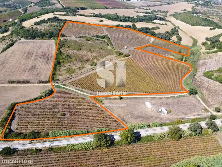 Terreno com Vinha Ativa