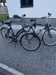 Rower rowery gazelle 28 para