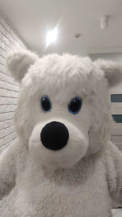 Żywe maskotki wynajem wysyłkowy strojów Misio Piesek Panda Kot Smok