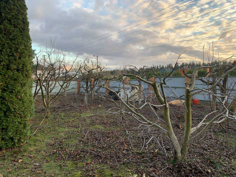 Послуги з обрізання саду та прибирання листя | Буча та район