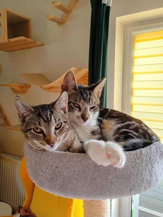 Snusia i Koksik – duet, który skradnie Ci serce