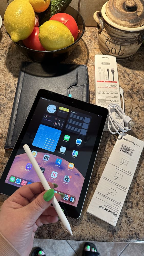 Tablet iPad Apple Retina - Touch ID - PROCREATE