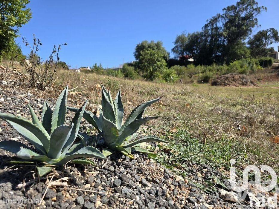 Terreno em A dos Francos