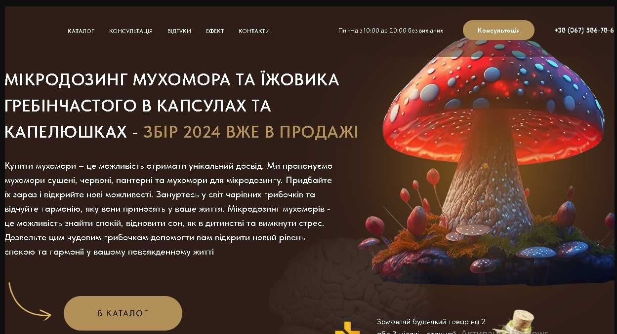 Розробка сайту/ Інтернет магазин. Хорошоп, Сайт під ключ. Дешево