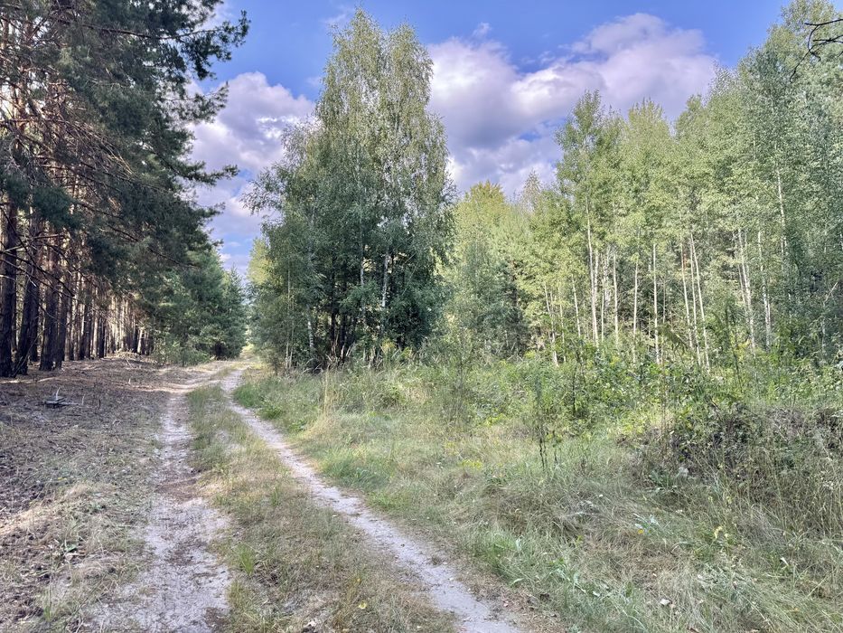 Земельна ділянка 1 га поруч з великим лісом!!!с.Здвижівка.