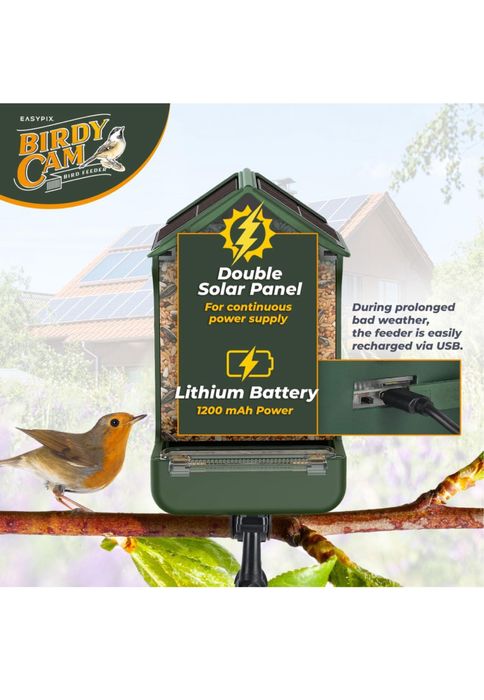 Comedouro para pássaros com câmera e painel solar