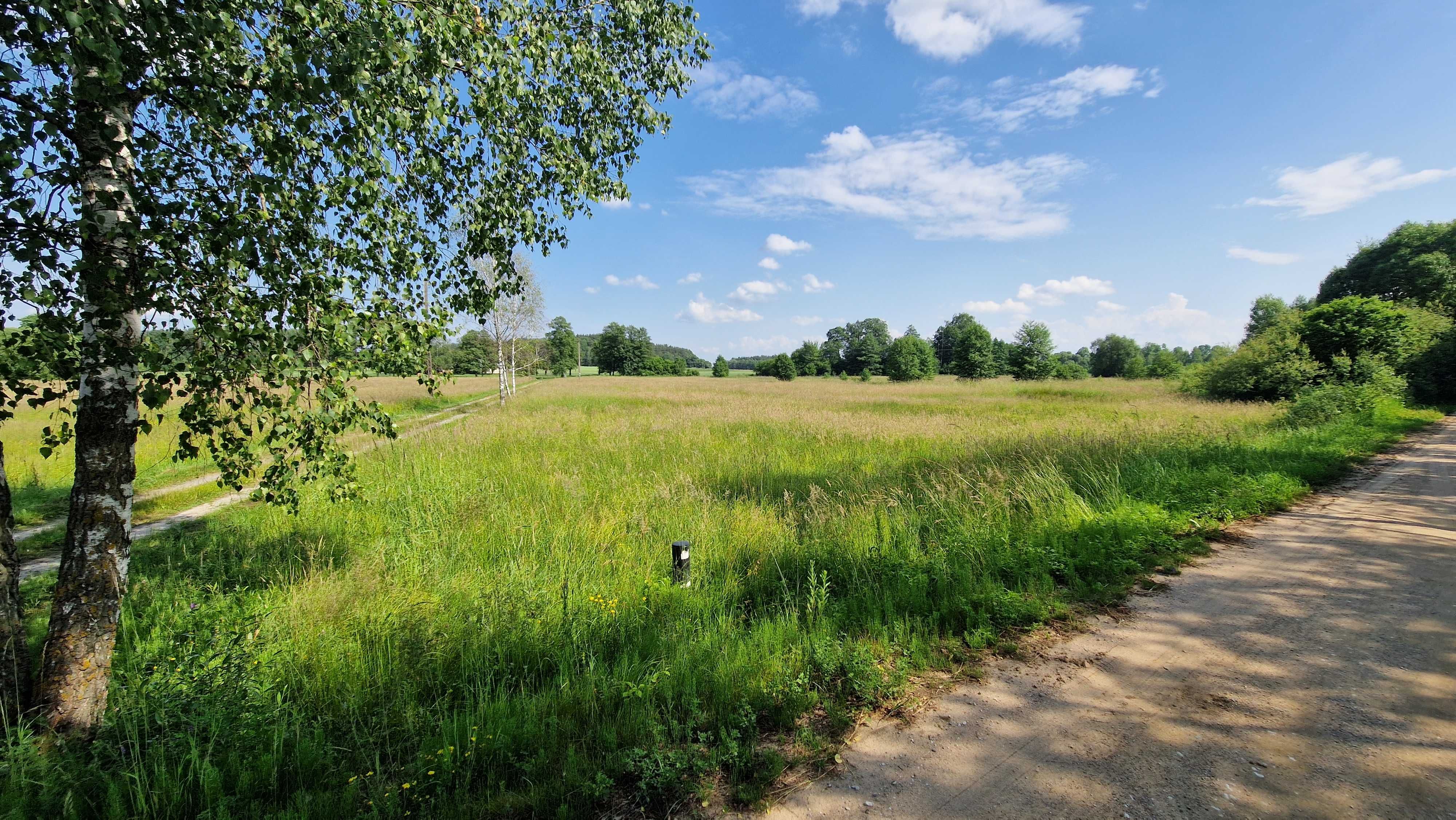 Działka siedliskowa, wokół cisza i spokój. 6100 m2, obręb Koźliki