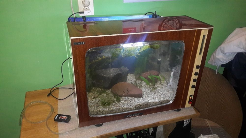 akwarium w telewizorze