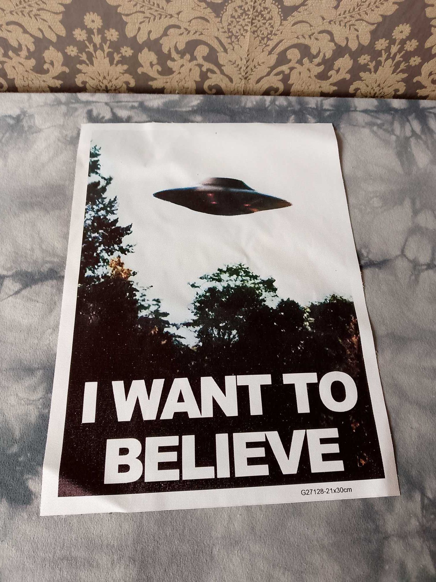 Plakat i want to believe z archiwum x