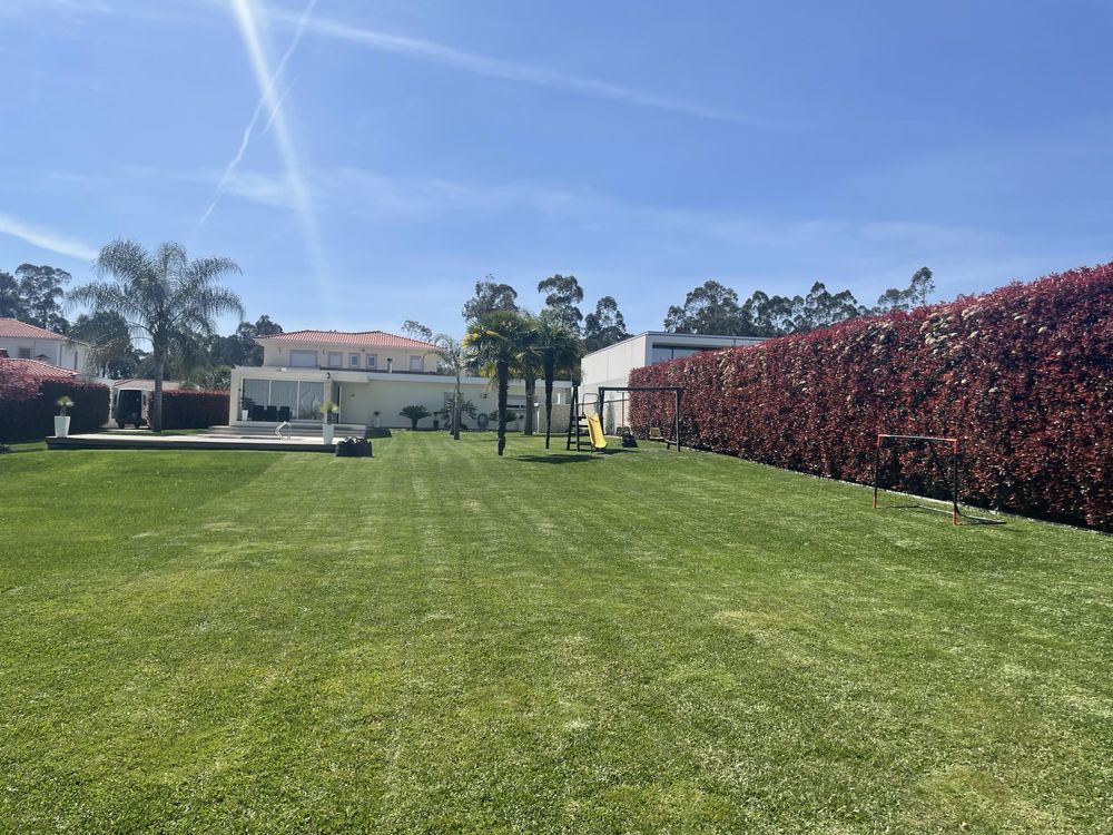 Serviços de jardinagem e limpeza de terrenos.