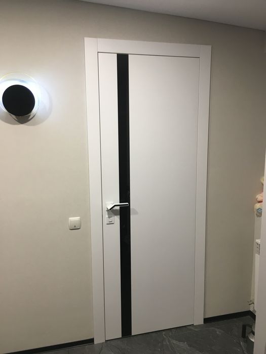 Установка дверей Лозовая