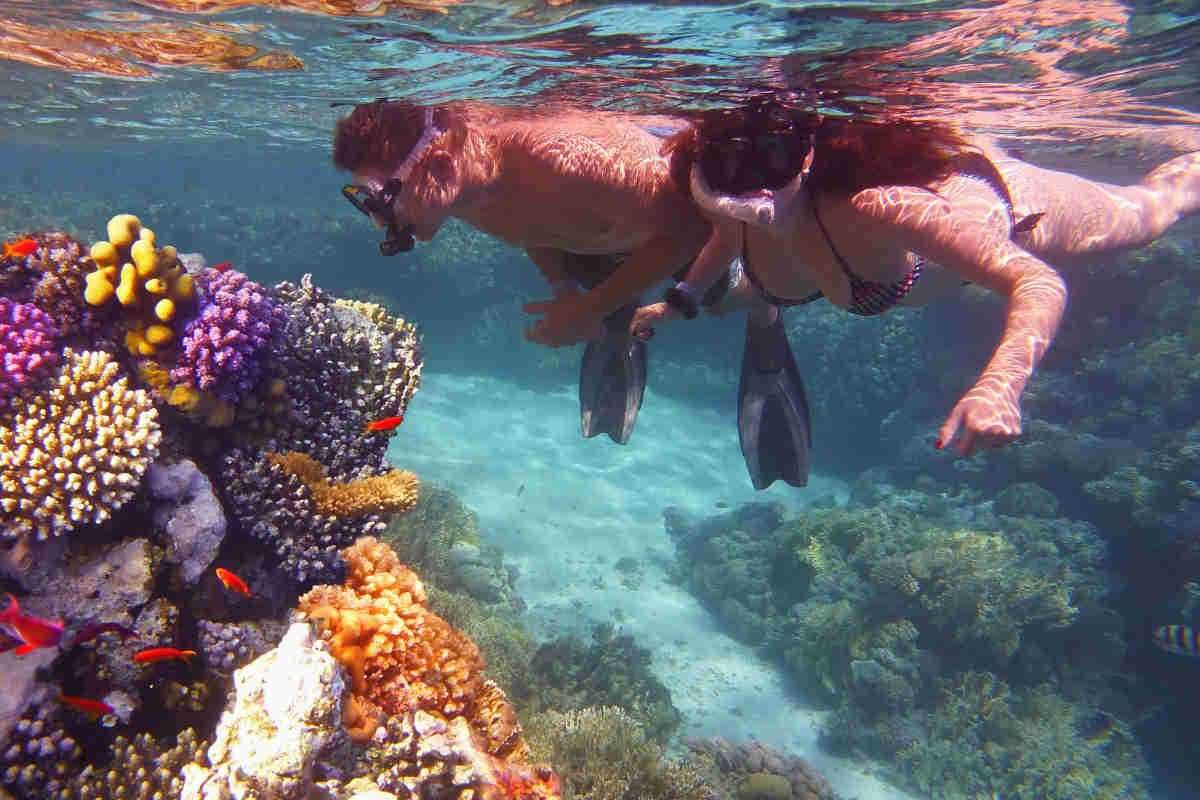 Conjuntos Mergulho Snorkeling : barbatanas tubo saco - "Decathlon"