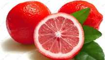 Limoeiro vermelho raro de coleção - Rico em antioxidantes
