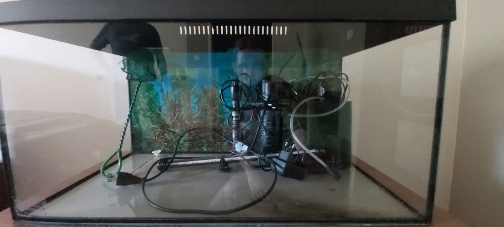 Akwarium 52L z wyposażeniem