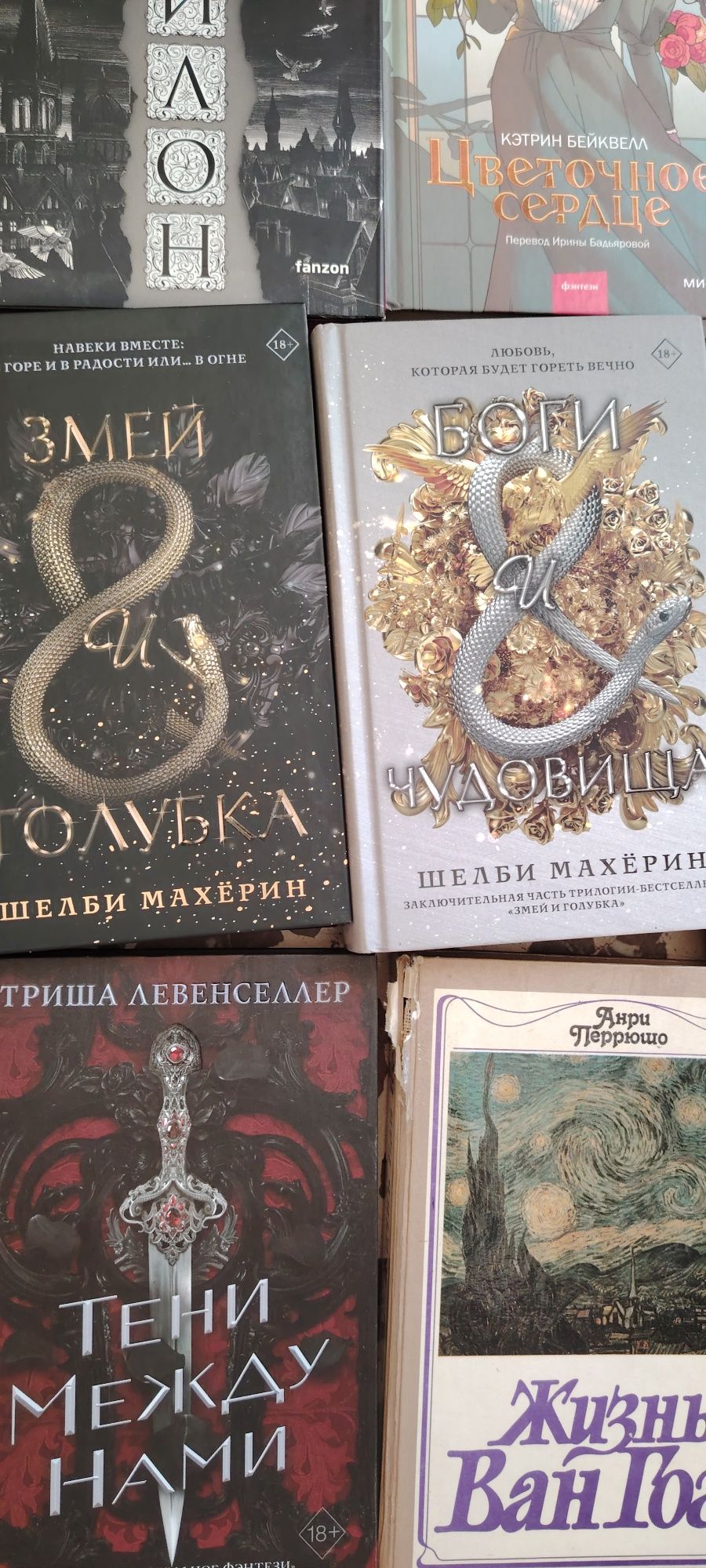 Книги на русском языке. Анастасия Гор, Шелби Махёрин.