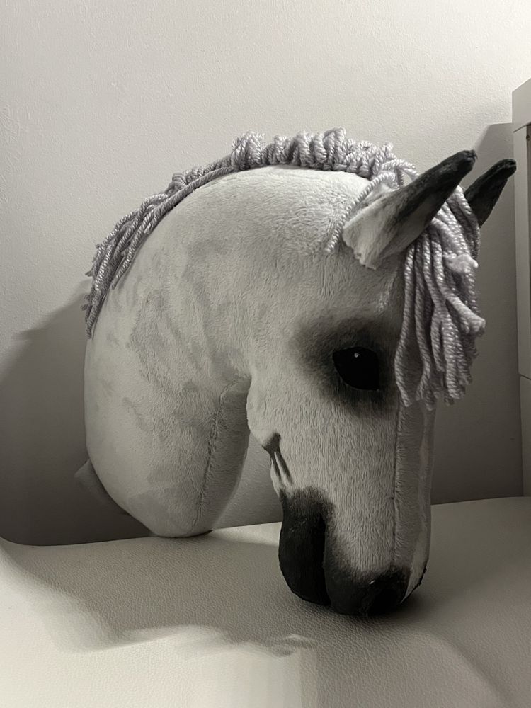 Hobby horse.