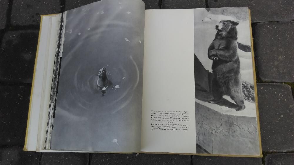Rosyjska książka, album o zwierzętach 1959 r