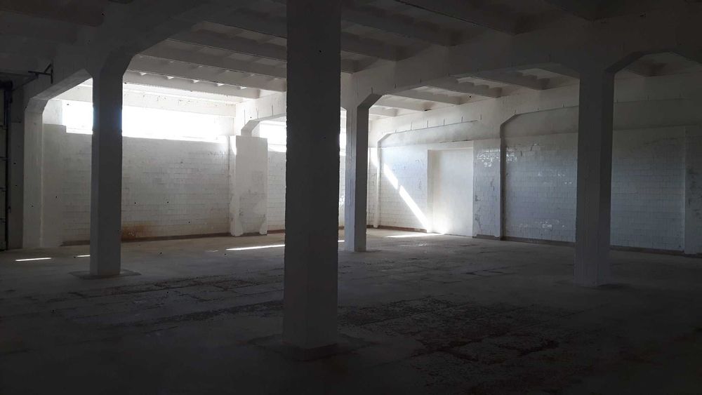 Wynajmę boks magazynowy, magazyn, hala o pow. 255m2