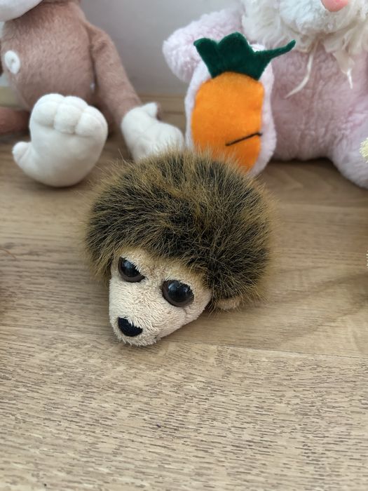 Баранчик, собака, іжачок, заєць, мавпа