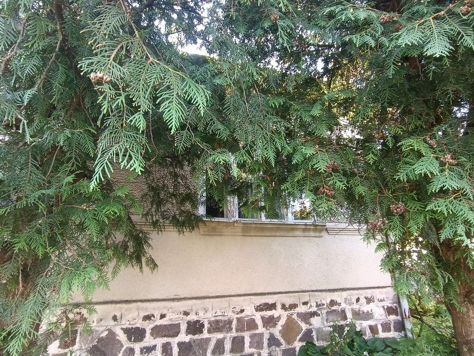 Продаж Ракошино Будинок