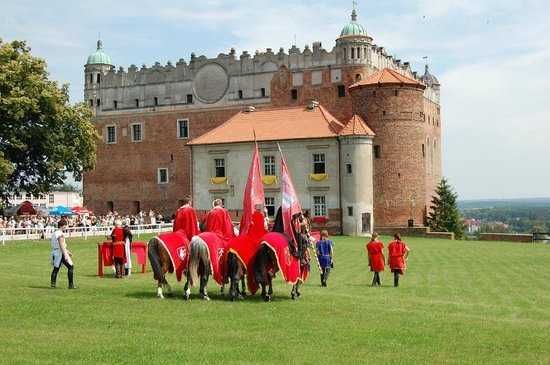 Domek letniskowy nad jeziorem Okonin w pobliżu Torunia JEZIORO OKONIN