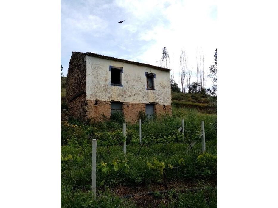 Moradia com terreno a confinar com a Ribeira . A 3 km da praia Fluv...