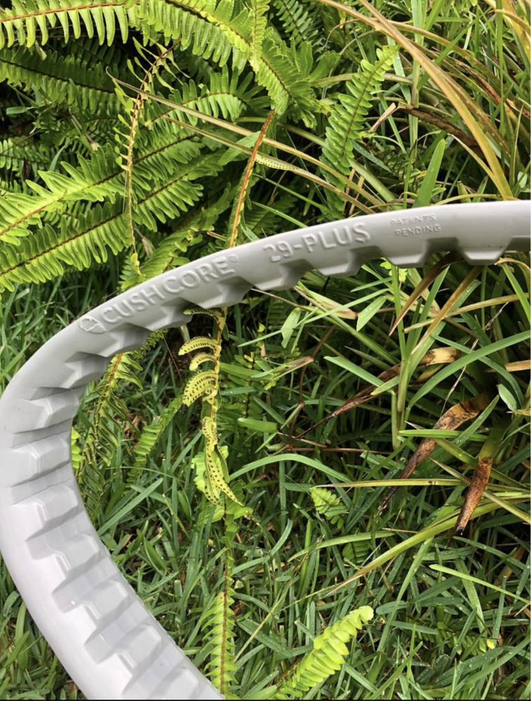 Mousse cushcore 29 plus