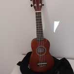 Cavaquinho  novo
