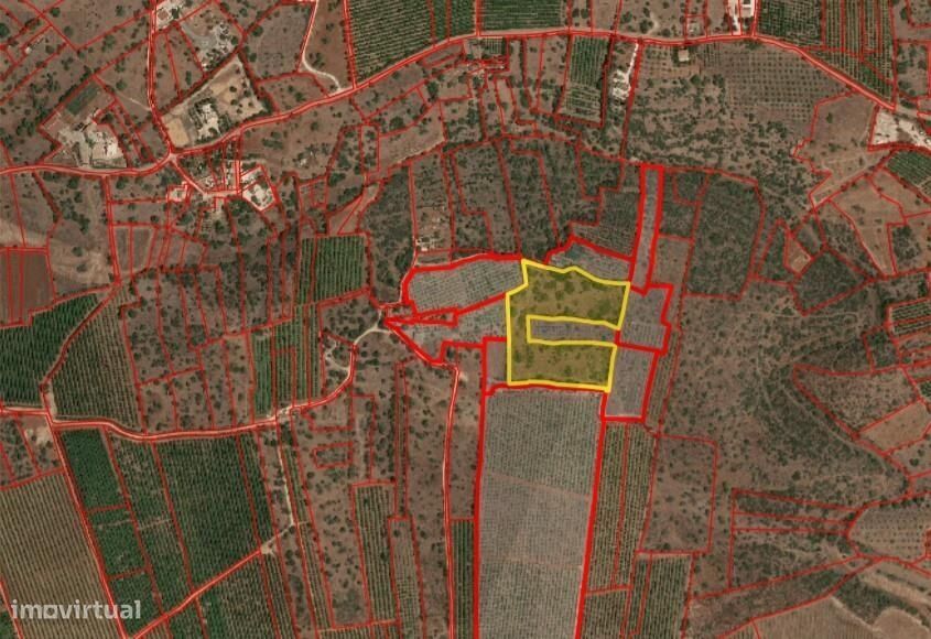 18080M2 Em Zona De Intenso Cultivo De Espécies Cítricas Em Portugal