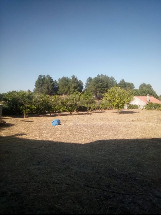 Terreno murado aldeia orca