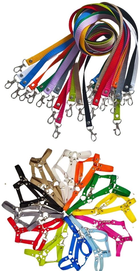 Hobby horse - DOMINO - dostępny