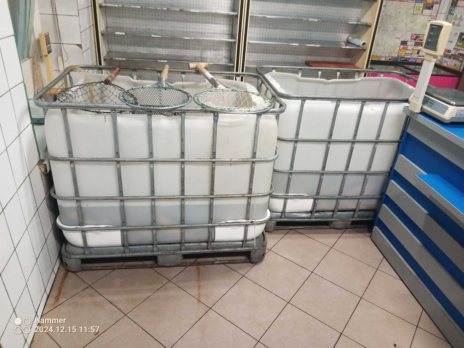 basen, podbierka napowietrzacz karp