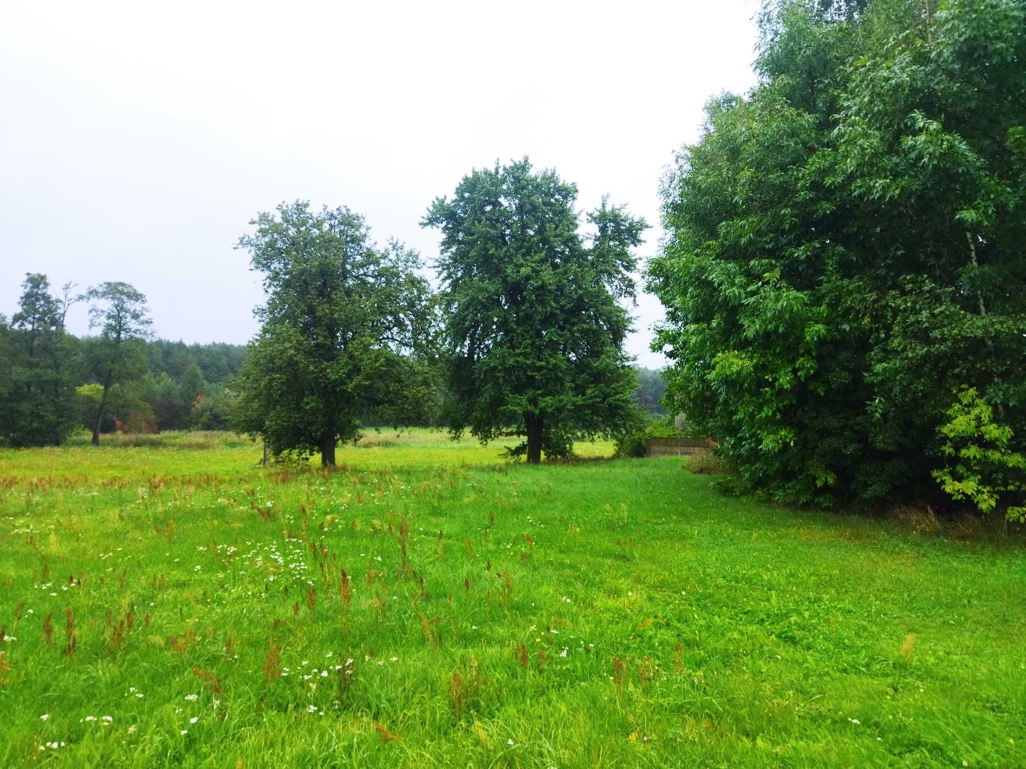 Działka rolno budowlana 2800 m2 BIELINA, KOLONIA DĘBNIAK