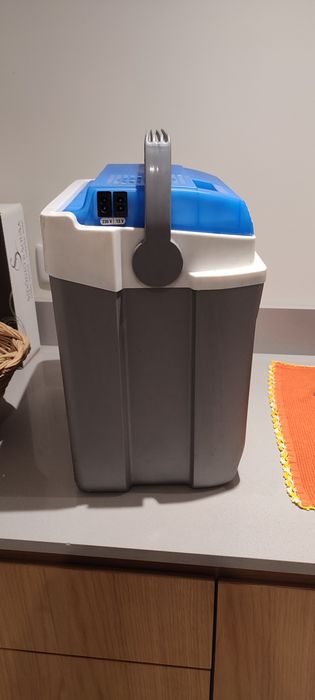 Geladeira elétrica 24L