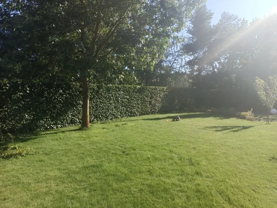 Ogrodnik Usługi ogrodnicze wertykulacja aeracja  oprysk odśnieżanie