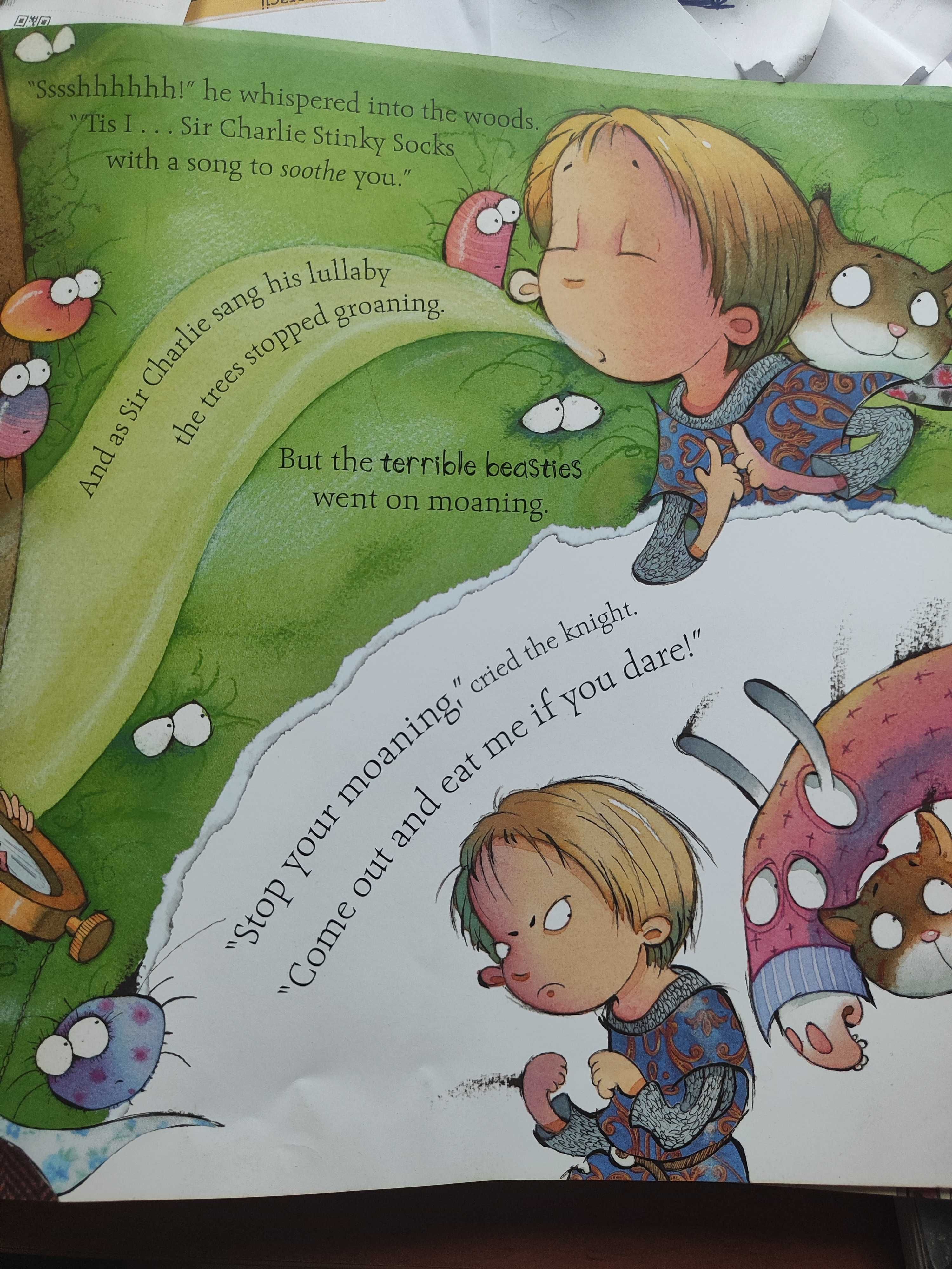 Sir Charlie Stinky Socks książka dla dzieci po angielsku