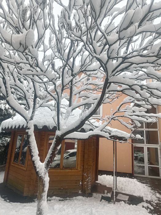 Вільна власник ком не треба платити 1о 2х кім в часному домі район сан