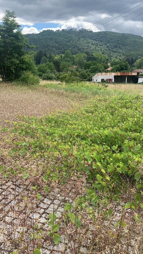 Terreno com Viabilidade de construção-Aceita Permuta